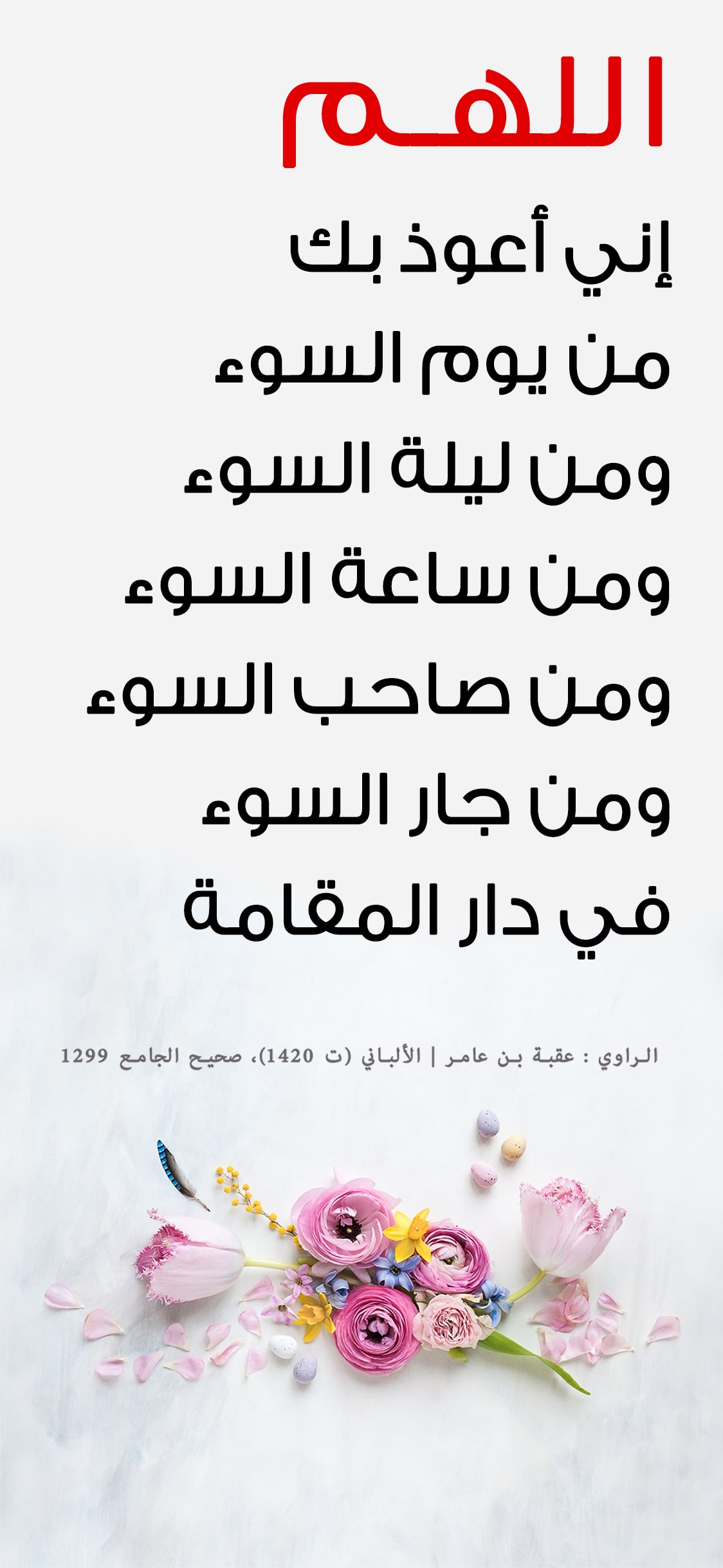 يوجد مشكلة فى الصورة