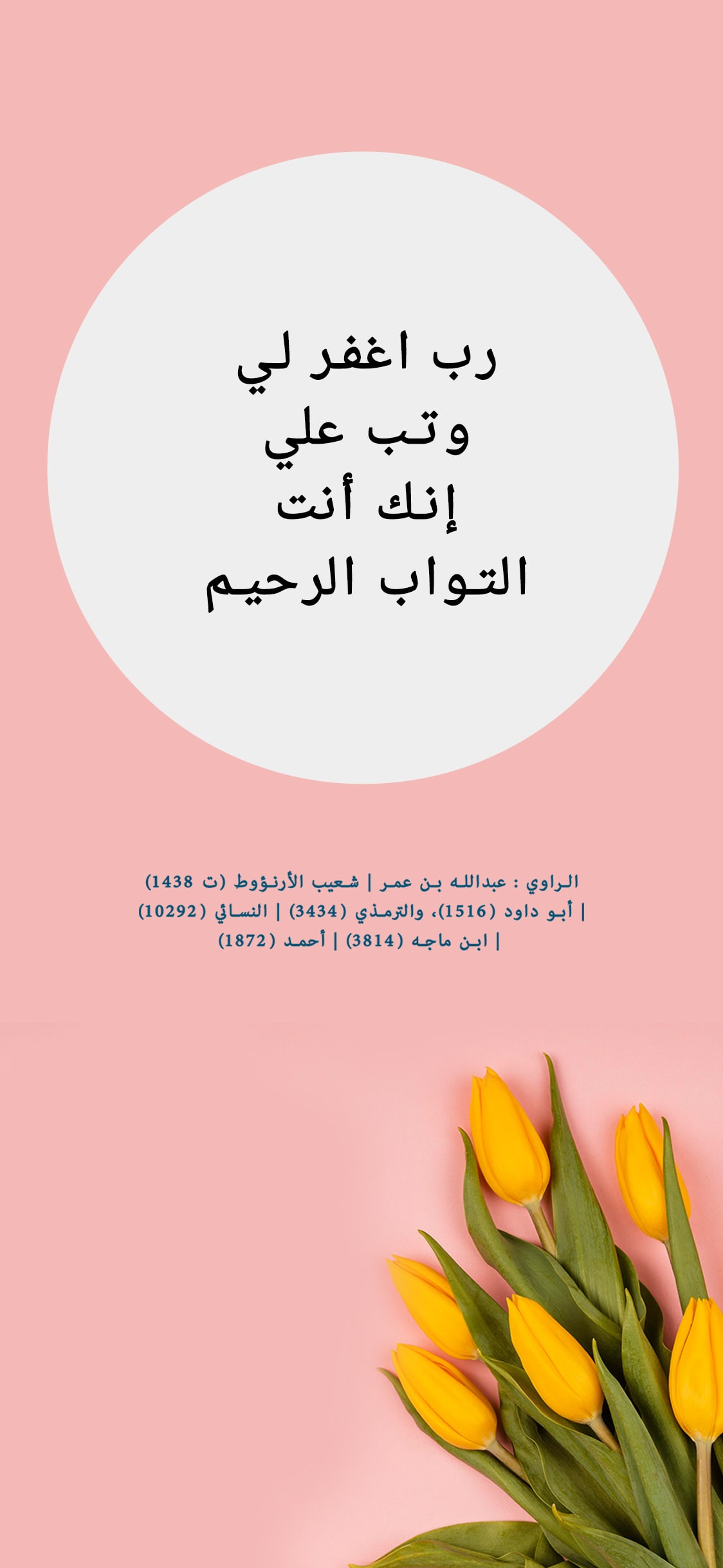 يوجد مشكلة فى الصورة